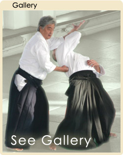 Yamada Sensei Gallery